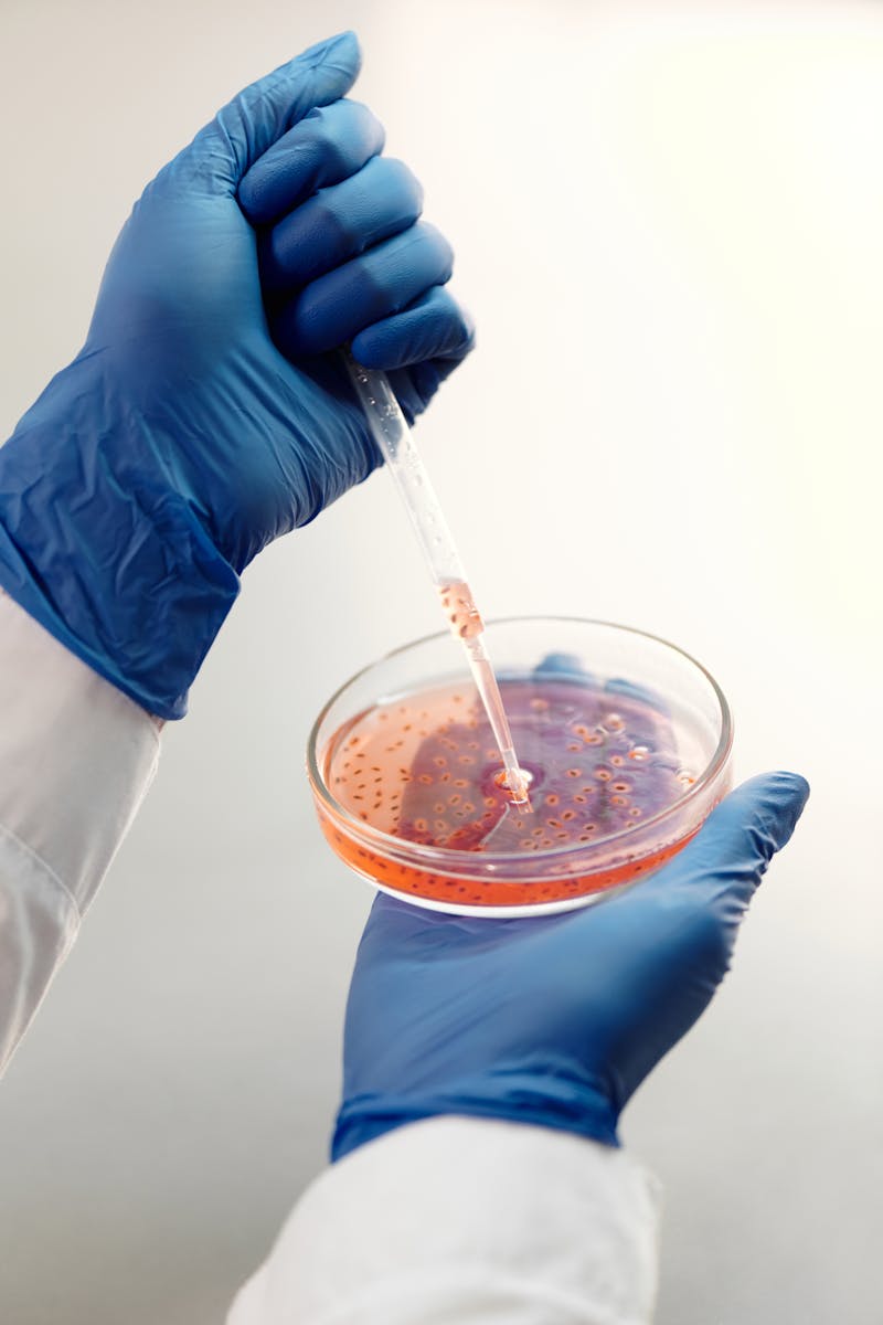 Pipette work in a cell culture dish