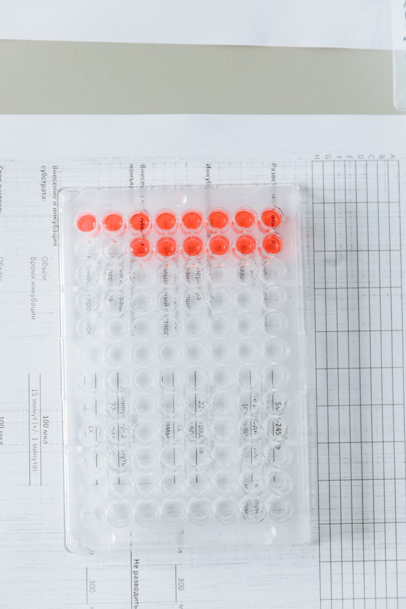 Assay plate used for enzyme testing